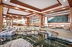 Waikiki Banyan: Standard One-Bedroom 