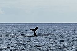 Casa De Emdeko Ground Floor