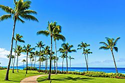 Montage Kapalua Bay - Anuenue