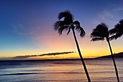 Sugar Beach Maui Condo