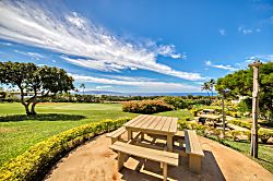 Wailea Ekolu Village 410