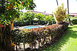 Maui Vista Condo - Fully Renovated with A/C