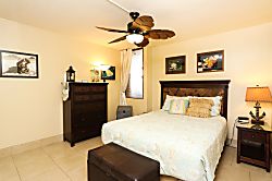 Maui Vista Condo - Fully Renovated with A/C