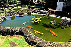 Kiahuna Plantation Condo