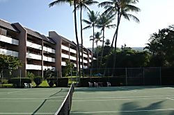 White Sands Beach Condo #324