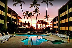 White Sands Beach Condo #324