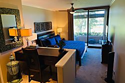 Kaanapali Royal D-102