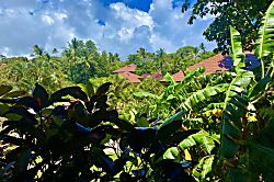 Hawaiian Chic Crater Retreat