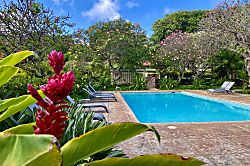 Hawaiian Chic Crater Retreat