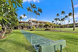 Napili Shores G154 Oceanview Studio