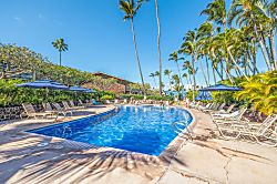 Napili Shores G154 Oceanview Studio