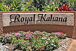 Royal Kahana 701