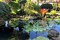 Pono Kai Resort Garden View 1 Bedroom Condo