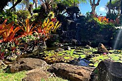 Pono Kai Resort Garden View 1 Bedroom Condo