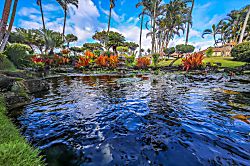 Pono Kai Resort Garden View 1 Bedroom Condo