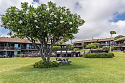 Polynesian Shores 115