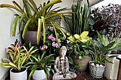 Kapalua Golf Villas Unit Spectacular Getaway