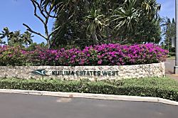 Turtle Bay Condos Rental