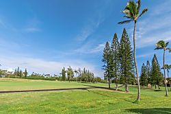 Turtle Bay Condos Rental