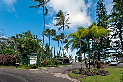 Hanalei Colony Resort K4  - The entrance to the Hanalei Colony Resort. The beautiful landscaping and tropical plants a
