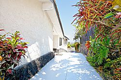 Nohealani Oasis