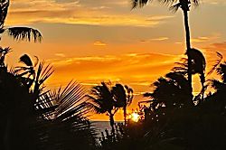 Maui Sunset A307