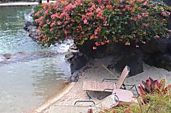 Hanalei Bay Resort 5207