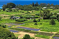 Grand Champions Wailea Villa