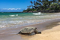 Grand Champions Wailea Villa