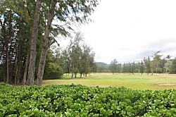 Kuilima Estates East Turtle Bay Condo 1BR/2BA