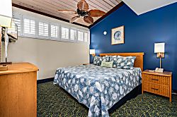 Napili Shores E-238
