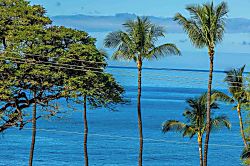 Maui Parkshore 408