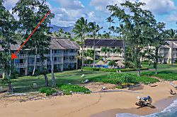 Islander On The Beach 252