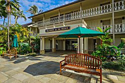 Islander On The Beach 252