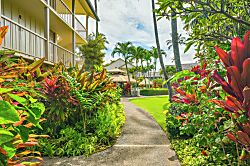 Islander On The Beach 252