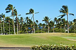 The Shores at Waikoloa Beach Villa One