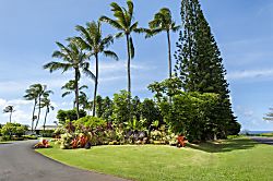 Alii Kai 1201