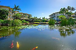 Waipouli Beach Resort G307