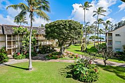 Islander on the Beach 367