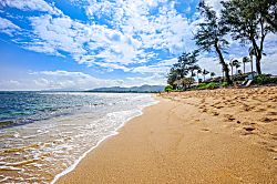 Islander on the Beach 367