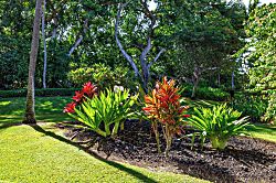 Surf & Racquet Club 8101