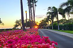 Kamaole Sands Condo #1-106