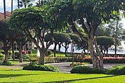 Kamaole Sands Condo #1-106