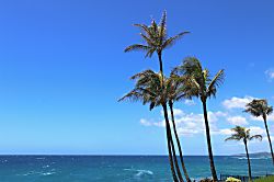 Makahuena Oceanfront Condo