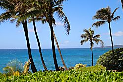 Makahuena Oceanfront Condo