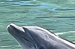 Fairway Villas Waikoloa Beach Resort K22