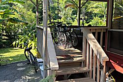 Traditional Hawaiian House - vacation rental photo 17