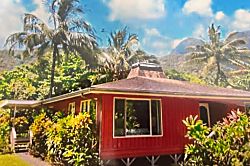 Traditional Hawaiian House - vacation rental photo 15