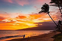 Island Surf 516