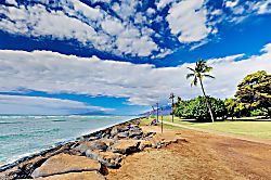 Island Surf 516